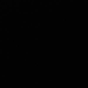 Meet your Posher, Eloisa